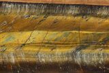 Polished Blue & Orange Tiger's Eye Slab - South Africa #320059-1
